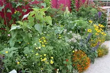 Gartenschau 12.08.13 (19).webp