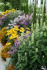 Gartenschau 12.08.13 (20).webp