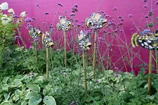 Gartenschau 12.08.13 (25).webp