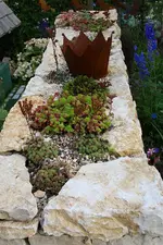 Gartenschau 12.08.13 (30).webp