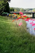 Gartenschau 12.08.13 (35).webp