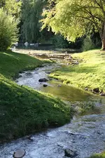 Gartenschau 12.08.13 (36).webp