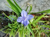 CIMG9751.webp