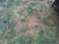 2013-08-11 15.55.02.webp