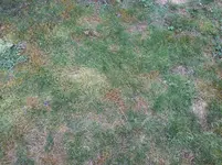2013-08-11 15.55.05.webp