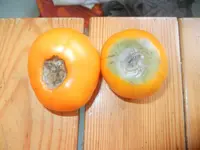 Tomaten 001.webp