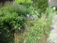 SAM_2026.webp
