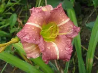 250.3_1024x768.webp
