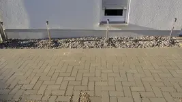 DSC08291.webp