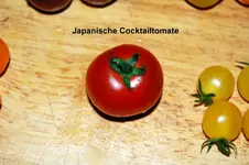 DSC_7803.webp