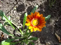 100_5535.webp