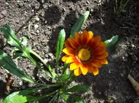 100_5536.webp