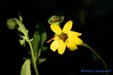 comp_DSC00263.webp