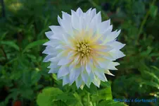 comp_DSC00261.webp
