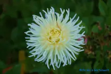 comp_DSC00264.webp