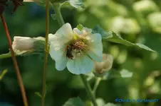 comp_DSC00253.webp