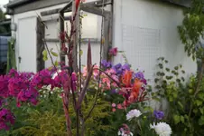 _DSC3076.webp
