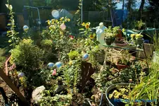 comp_DSC00252.webp
