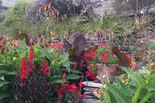 IMAG0302.webp