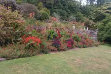 IMAG0306.webp