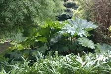 IMAG0342.webp