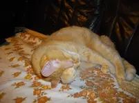 IMGP0402.webp