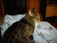 IMGP0405.webp