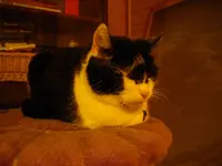 IMGP0411.webp