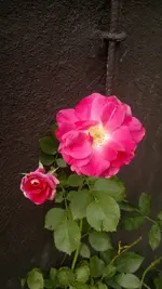2013-08-03-2877.webp