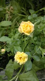 2013-08-09-2904.webp