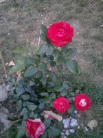 2013-08-10-2971.webp