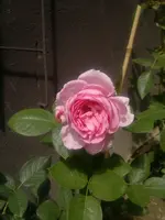 2013-08-13-2982.webp