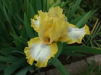 Easter_.webp