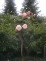 2013-08-13-2975.webp