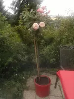 2013-08-13-2976.webp