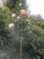 2013-08-13-2977.webp