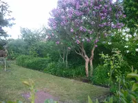 gartenu 040.webp