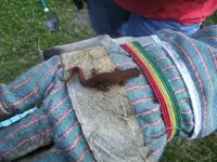 BILD1764.webp