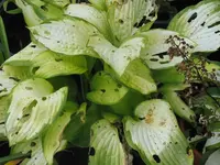 004_1024x768.webp