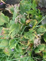 007_576x768.webp