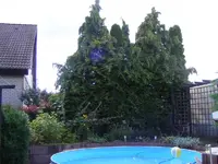 Pool aktuell.webp