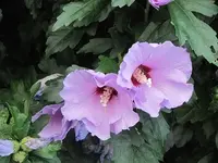 020.webp