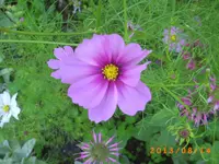 august11 002.webp