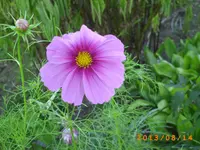 august11 008.webp