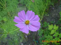 august11 010.webp