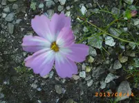 august11 014.webp