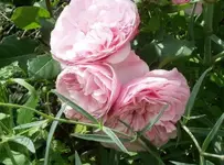 101_0616.webp