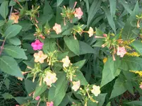 urlaub 2 527.webp