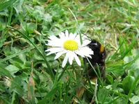 Copy of 1 (7)v.webp