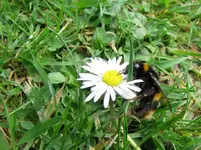 Copy of 1 (8)v.webp